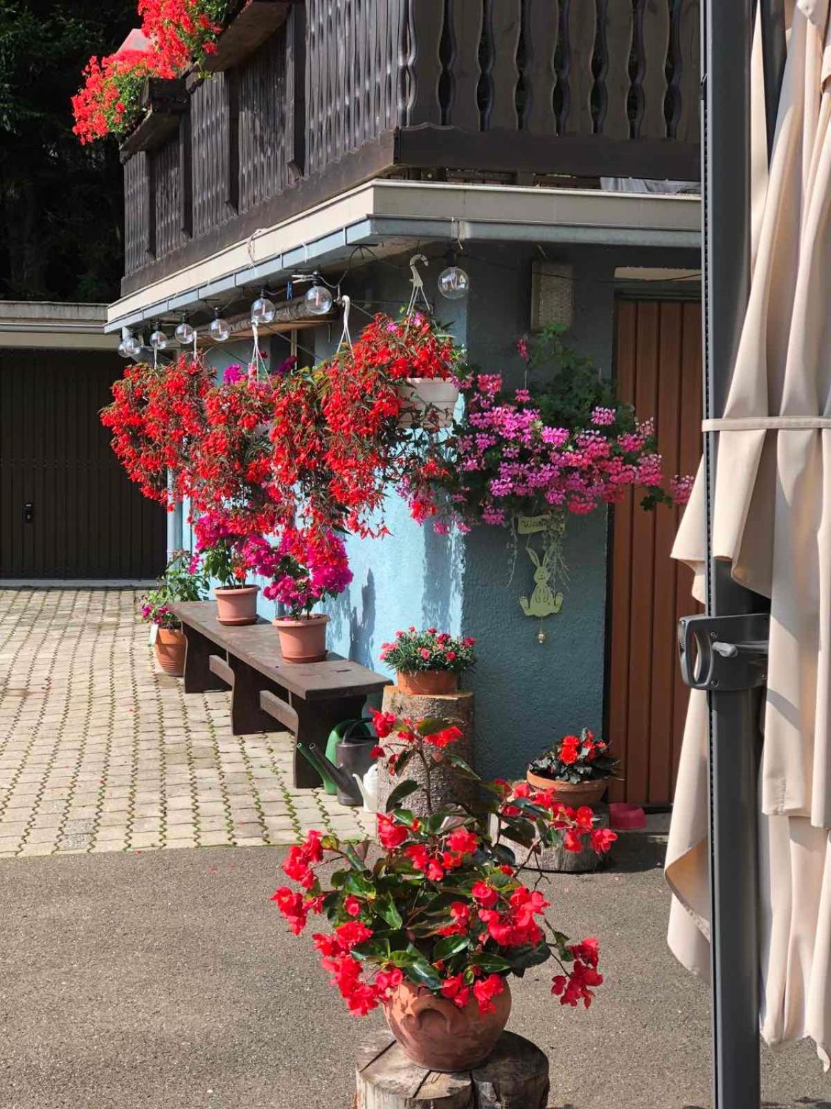 Haus-Erzberg Acomodação com café da manhã Vordernberg Exterior foto